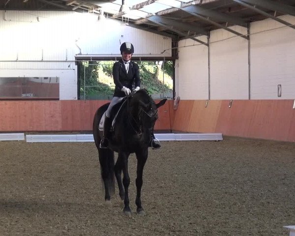 Reitturnier Ratingen-Hösel - Gut Gützenhof 2018