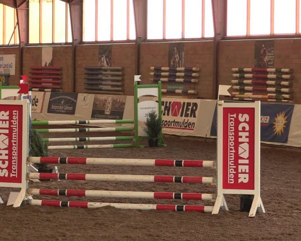 Reitturnier Ovenstädt 2018