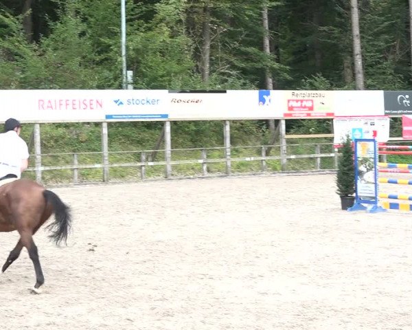 Reitturnier Sins 2018