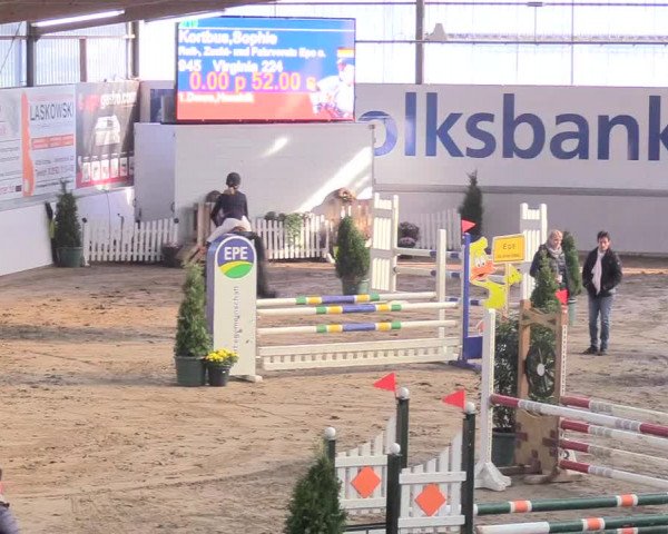 Reitturnier Gronau-Epe 2018