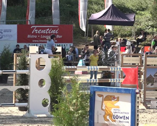 Reitturnier Sins 2018