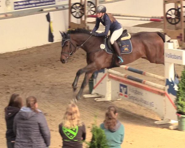 Reitturnier Gronau-Epe 2018