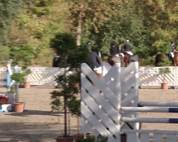 Reitturnier Greppin 2018