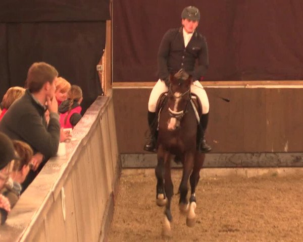 Reitturnier Hüllhorst 2018