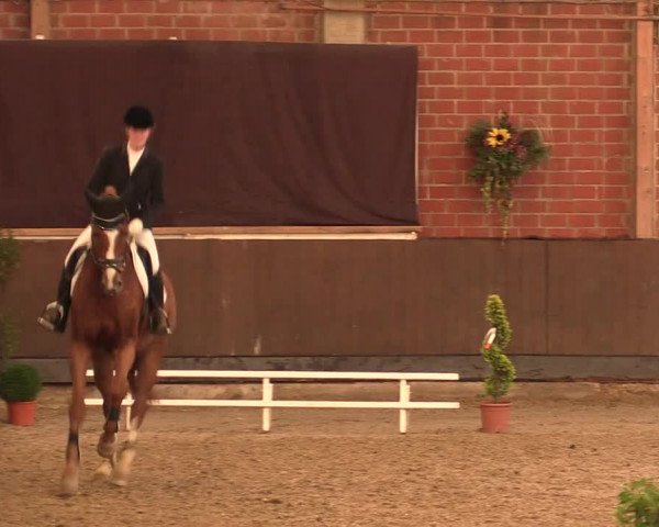 Reitturnier Hüllhorst 2018