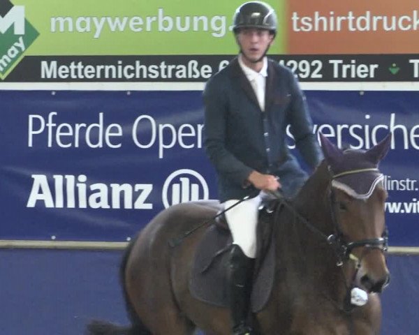 Reitturnier Trier - Hofgut Monaise / Halle 2018