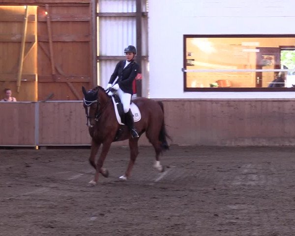 Reitturnier Kellinghusen 2018