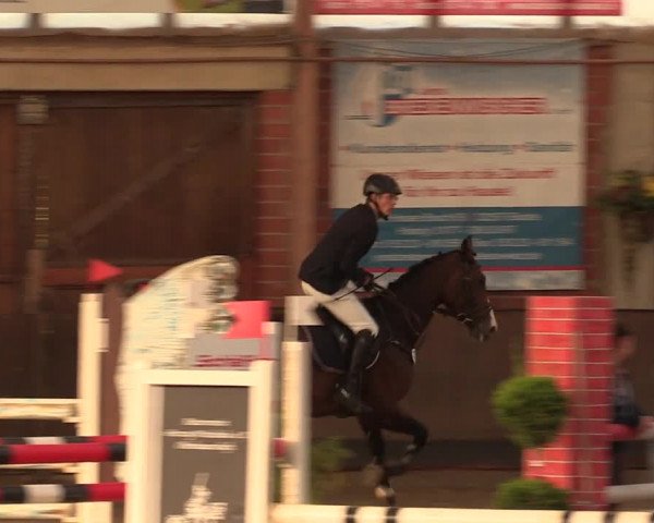 Reitturnier Hüllhorst 2018