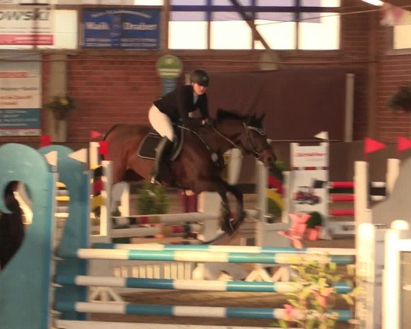 Reitturnier Hüllhorst 2018