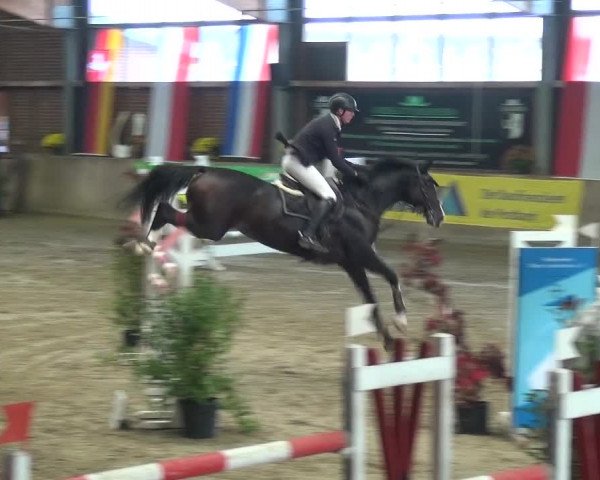 Reitturnier Köln-Leverkusen 2018