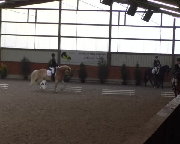 Reitturnier Viernheim 2018