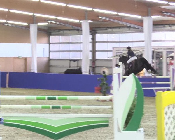 Reitturnier Isterberg 2018