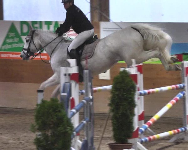 Reitturnier Langenau 2018