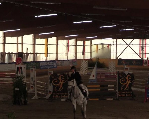 Reitturnier Pausin 2018