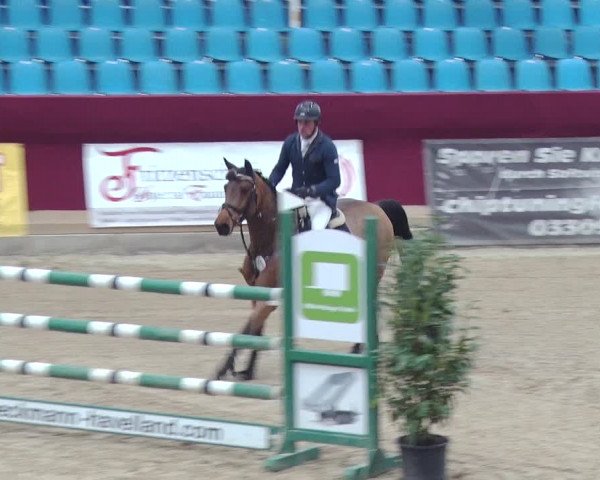 Reitturnier Neustadt/Dosse 2018
