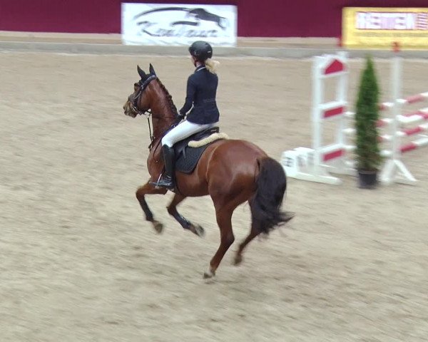 Reitturnier Neustadt/Dosse 2018