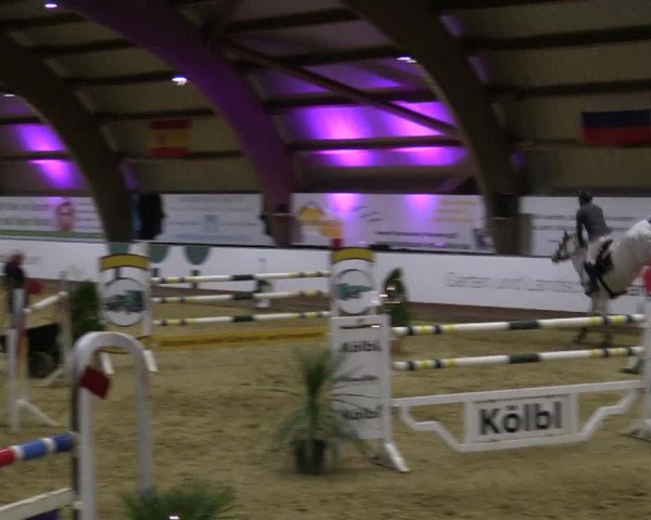 Reitturnier Essen-Stadtwald 2018