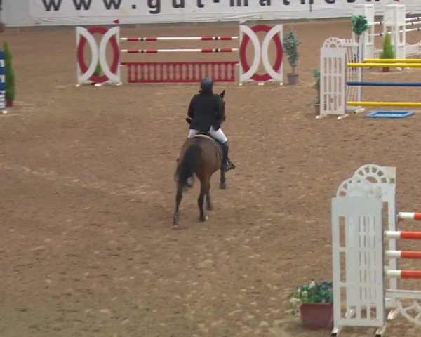 Reitturnier Kreuth 2018
