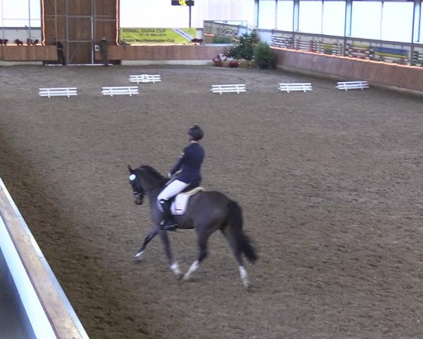 Reitturnier Südlohn-Oeding 2018