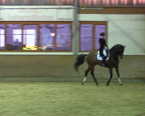 Reitturnier Appelhülsen 2018