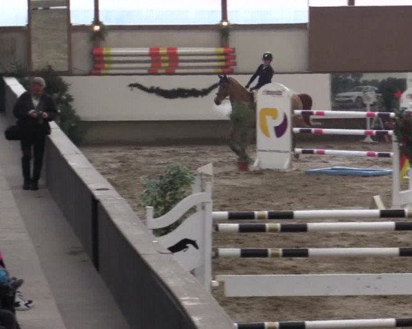Reitturnier Alt Marl 2018
