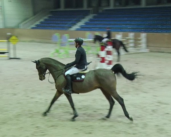 Reitturnier Prussendorf 2019
