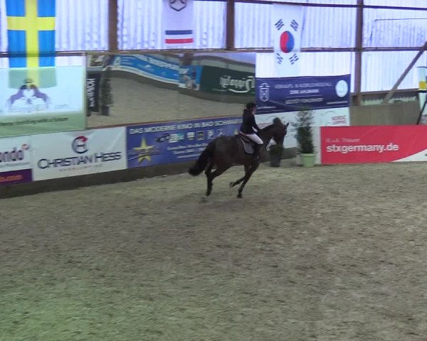 Nordic Jumping events 2019