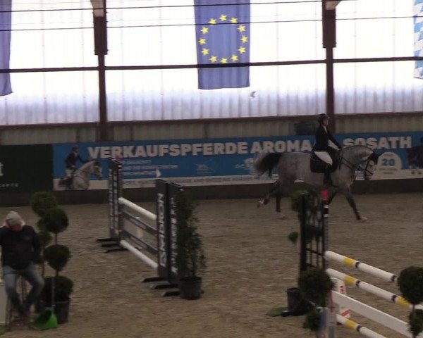 Nordic Jumping events 2019