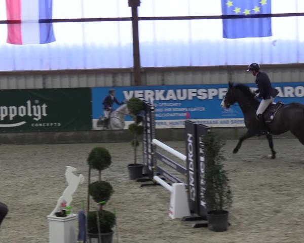 Nordic Jumping events 2019