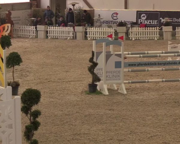 Nordic Jumping events 2019