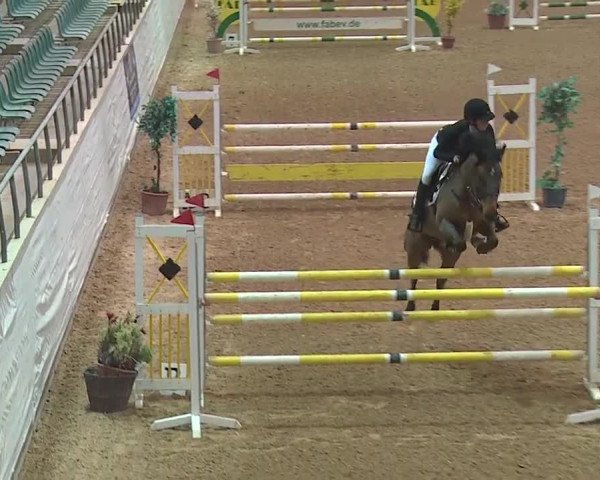 Reitturnier Kreuth/Opf. 2019