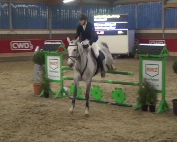 Reitturnier Kaldenkirchen - Gestüt Seehof 2019