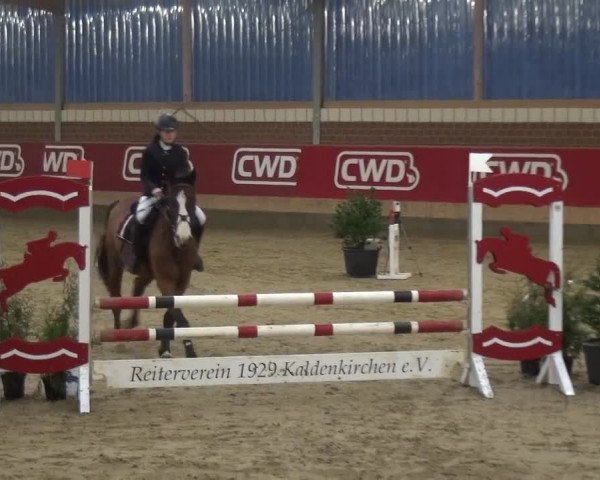 Reitturnier Kaldenkirchen - Gestüt Seehof 2019