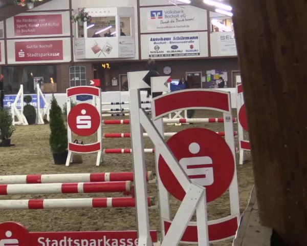 Reitturnier Barlo-Bocholt 2019