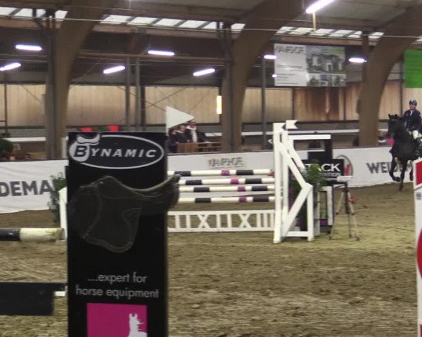 Reitturnier Barlo-Bocholt 2019