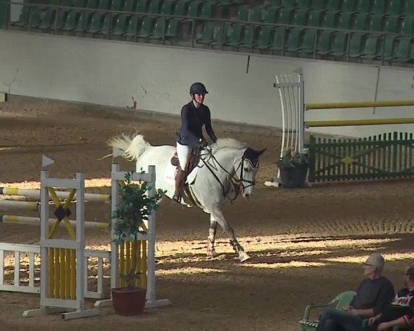 Reitturnier Kreuth/Opf. 2019