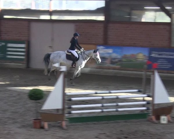 Reitturnier Hamburg-Friedrichshulde/Sylva Kuhrt 2019