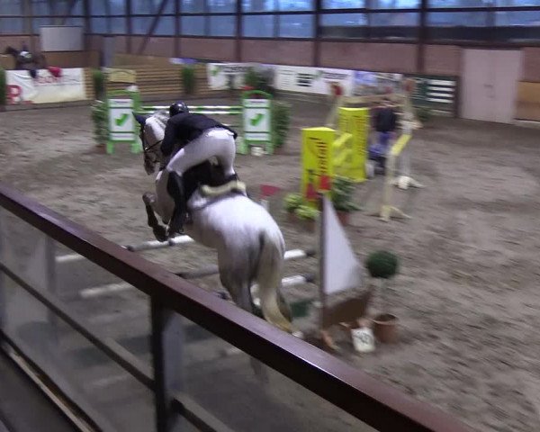 Reitturnier Hamburg-Friedrichshulde/Sylva Kuhrt 2019