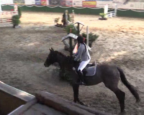 Reitturnier Keppeln - Reitanlage "Hötzenhof" 2019