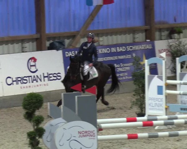 Nordic Jumping events 2019