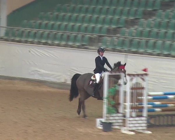 Reitturnier Kreuth/Opf. 2019