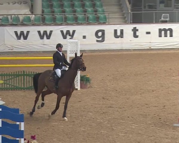 Reitturnier Kreuth/Opf. 2019