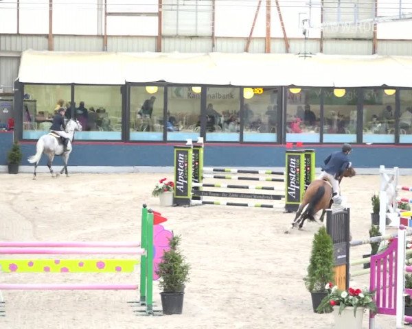 Reitturnier Oberriet 2019