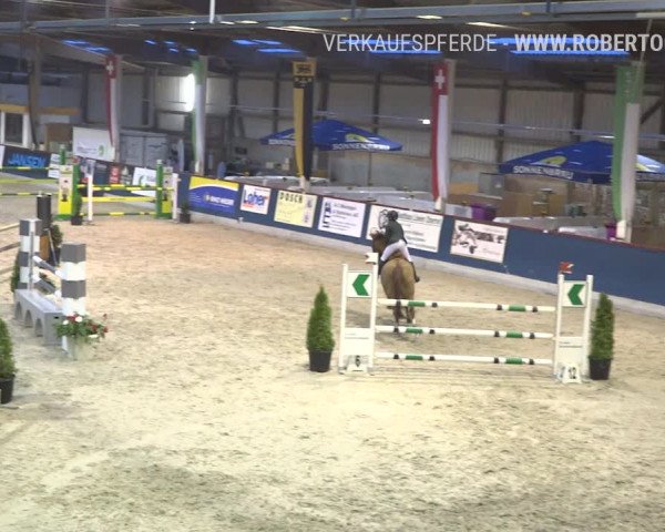 Reitturnier Oberriet 2019