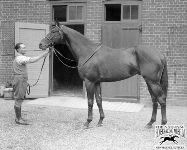 stallion Bala Hissar xx (Thoroughbred, 1933, from Blandford xx)