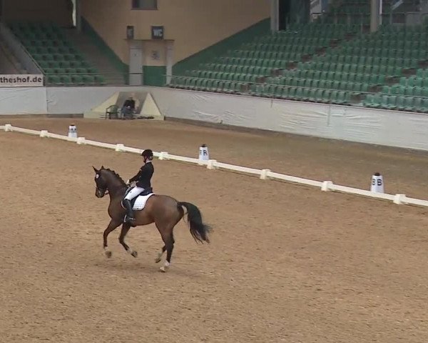 Reitturnier Kreuth/Opf. 2019
