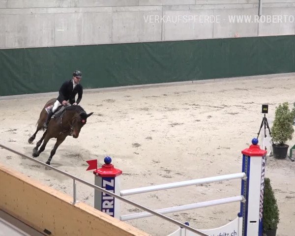 Reitturnier Dielsdorf, Horsepark Masters 2019