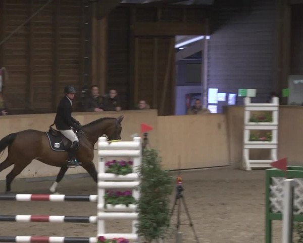 Reitturnier Mannheim-Neckarau 2019