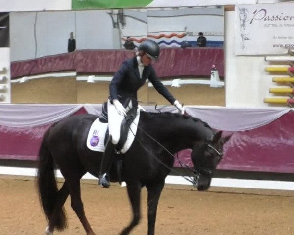 Reitturnier Eicherloh RH Laurent/Obb. 2019
