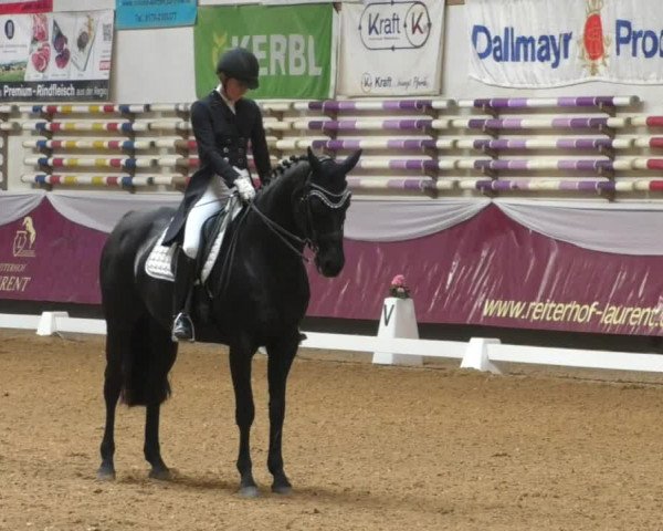 Reitturnier Eicherloh RH Laurent/Obb. 2019